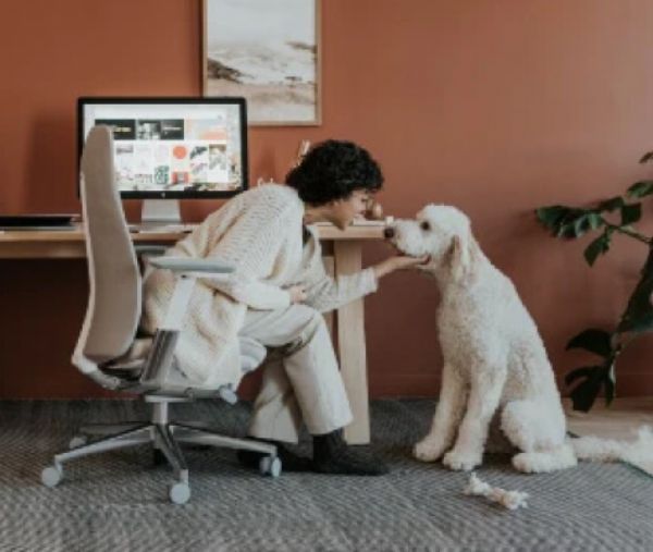 Ergonomic home office setup with dog