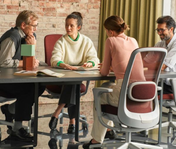 Professional ergonomic office workspace