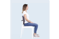 BackForm - Lower Back Lumbar Support thumbnail