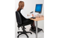 Regular Microdesk thumbnail
