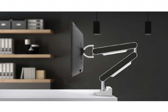 ZG1 Monitor Arm