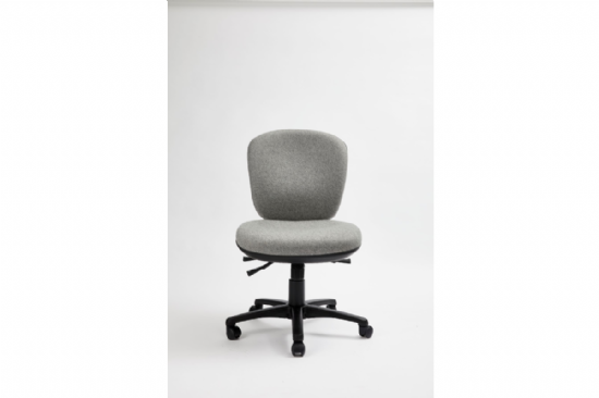 Enterprise Medium Back  Deluxe Task Chair