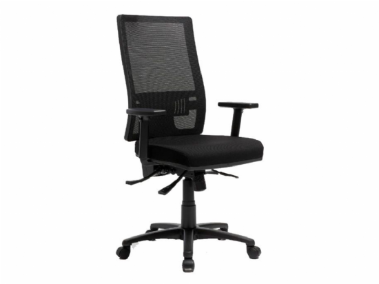 Leo High Back Mesh Task Chair