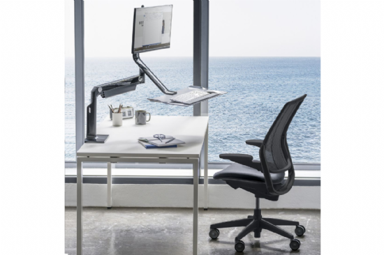 Humanscale Diffrient Smart Ocean Chair 