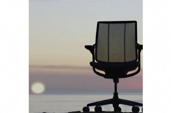 Humanscale Diffrient Smart Ocean Chair 