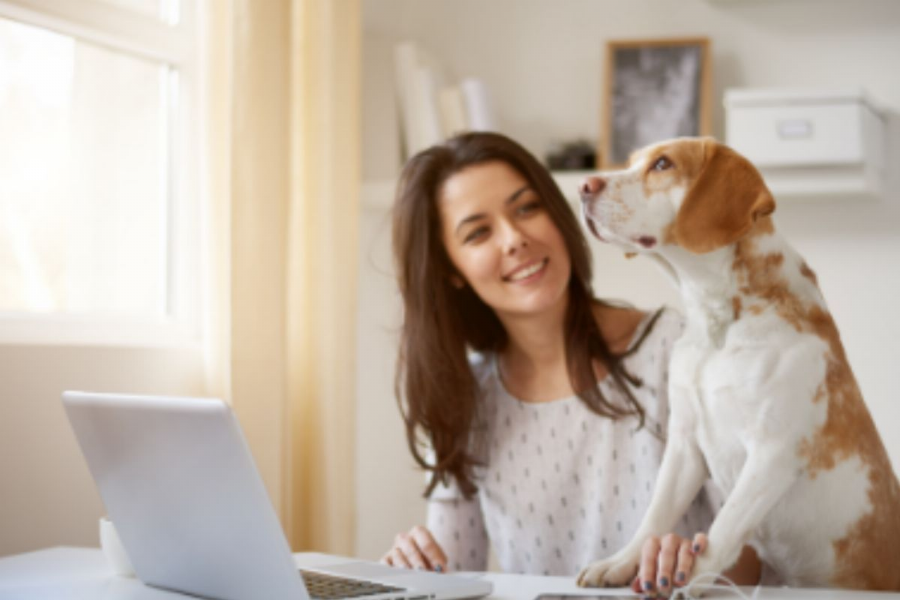 How to Make a Good Home Office a GREAT Home Office