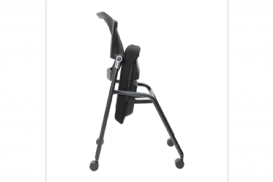 Lanza Multi-Purpose on castors