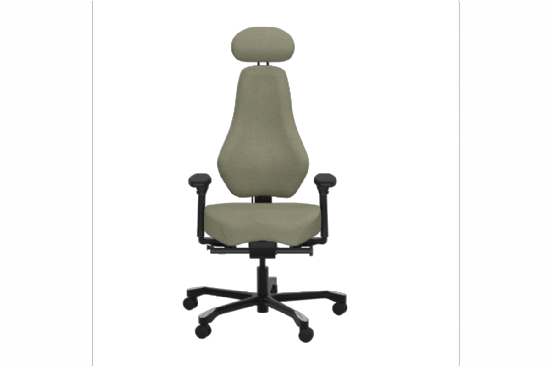 Vieto Spine Ergonomic Synchro Office Chair