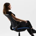 World LM by HumanScale thumbnail