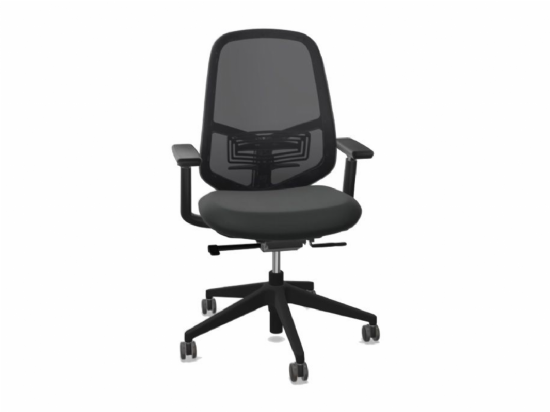 Haworth Aloha Pro Ergonomic Office Chair